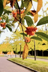 IMG_0069