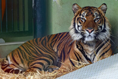 子供の楽園　ワンパーク高知５