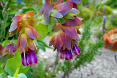 昔の画像ひっぱりだして