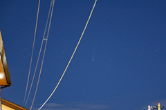 みぃ~つ~けたっ!! レモンちゃん。 みぃ~つ~けたっ!! レモンちゃん。