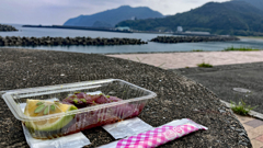 高知の旬の味覚"新子"