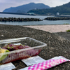 高知の旬の味覚"新子"