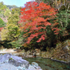 仁淀川町 安居渓谷 紅葉