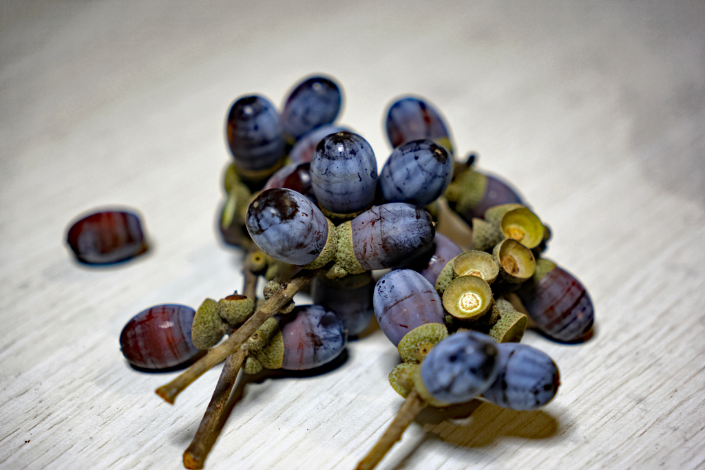 今年１年ありがとうございました。