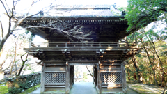 四国霊場 第３１番札所 竹林寺 仁王門