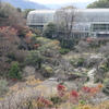 牧野植物園　温室と50周年記念庭園の一部