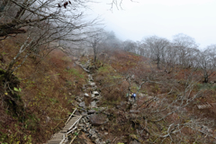 石鎚山 山頂へのアタック4