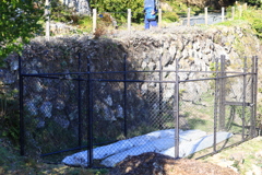 牧野植物園　怪しい植物植える準備