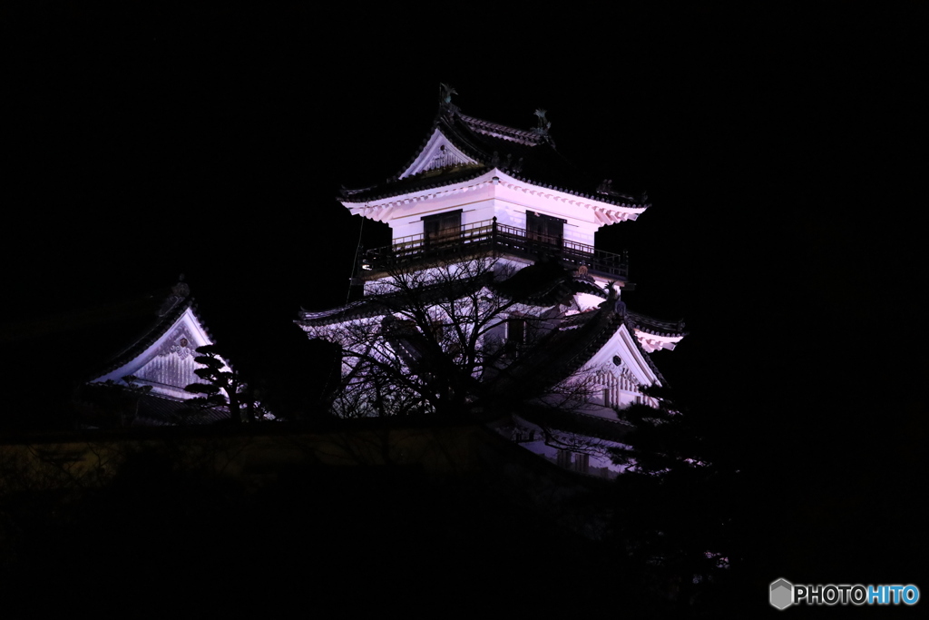 夜の高知城 ２