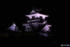 夜の高知城 ２