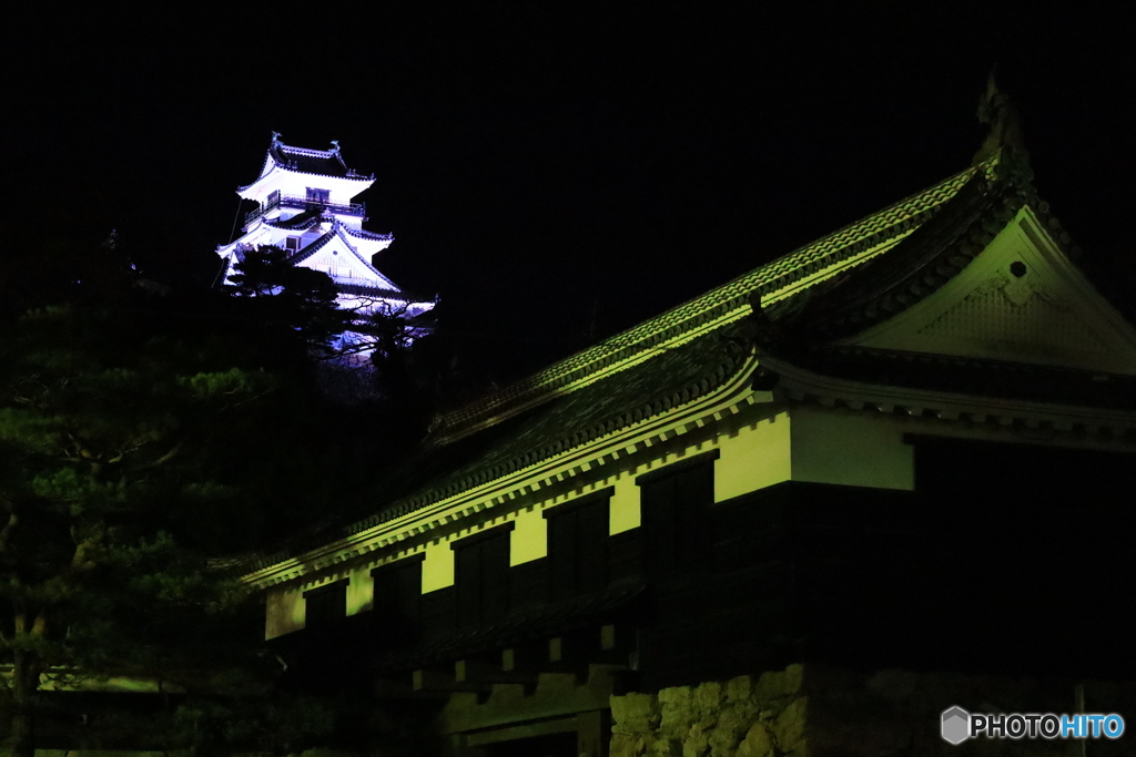 夜の高知城 １
