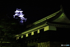 夜の高知城 １