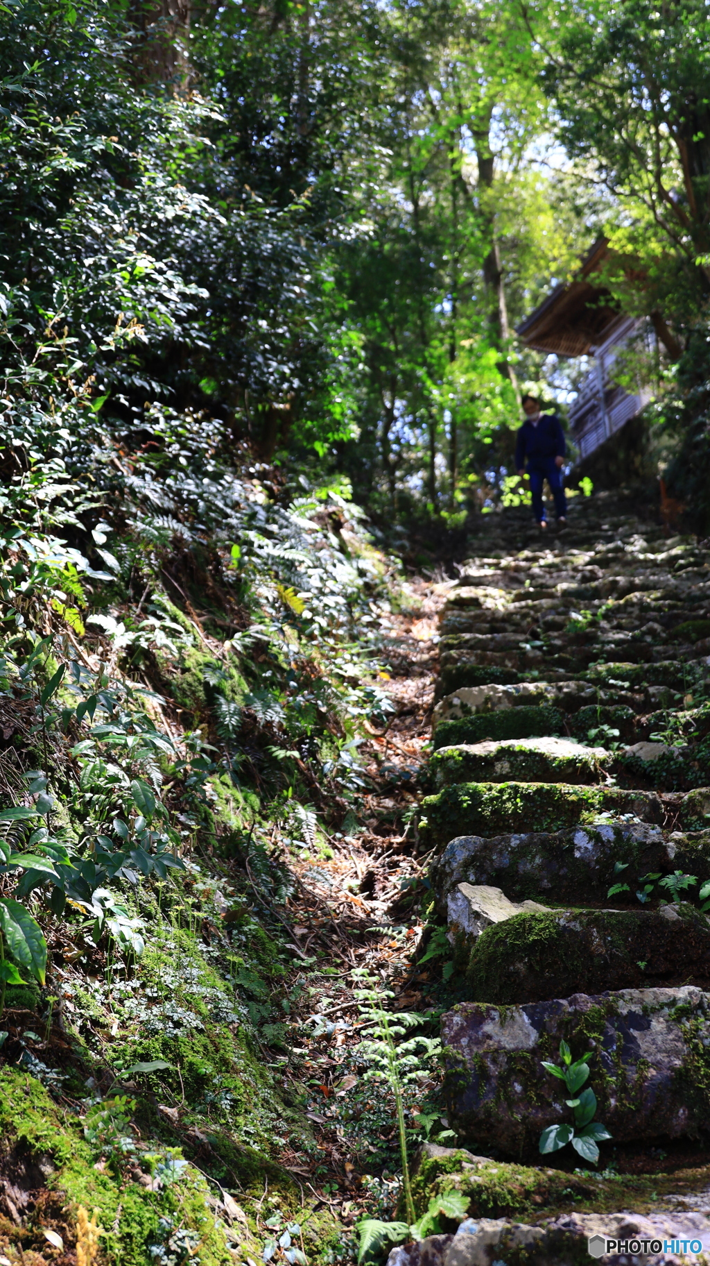佐川　牧野公園　金峰神社への階段