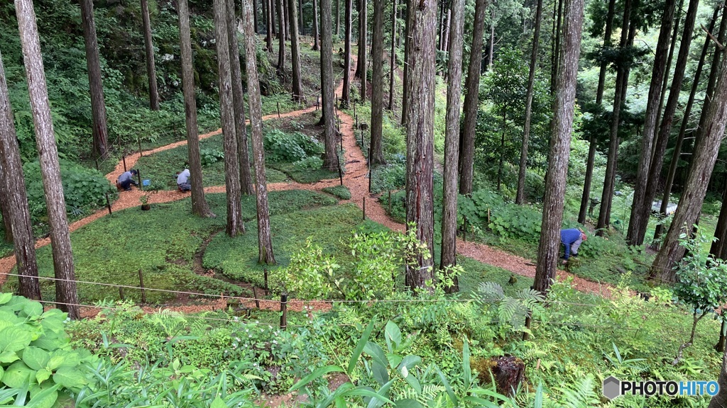 雨の佐川町牧野公園５