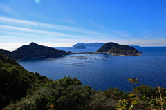 高知県西部　ダイビングスポット　柏島