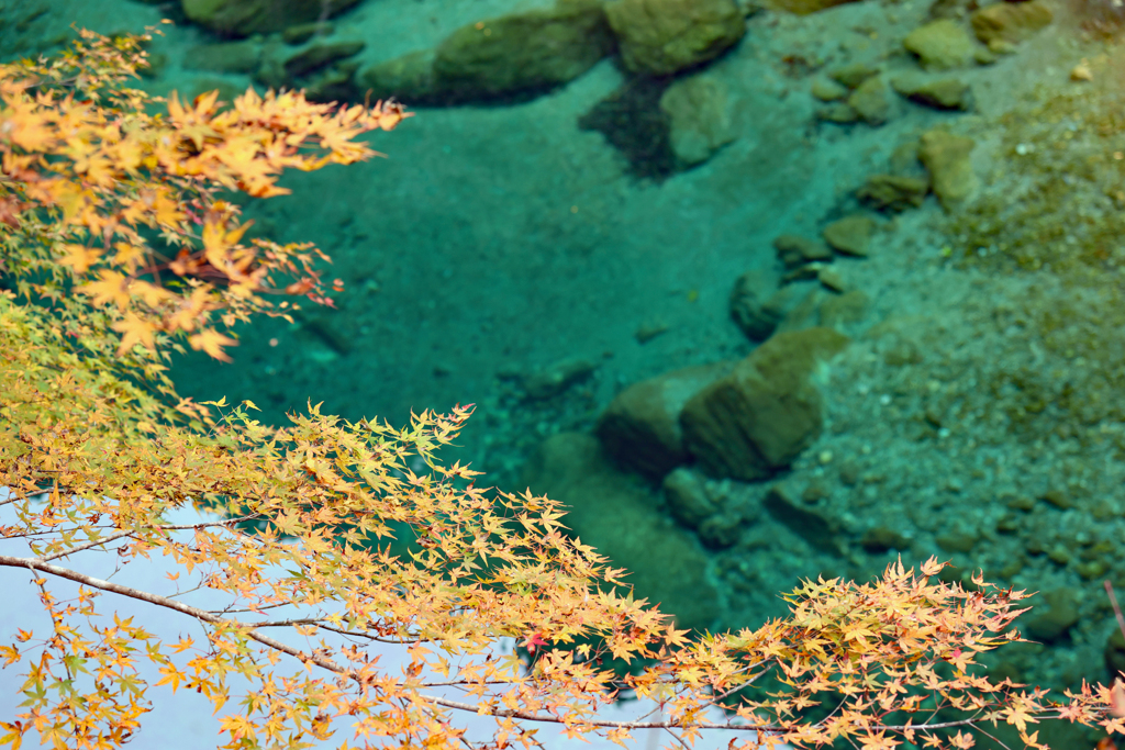 仁淀川町 安居渓谷３