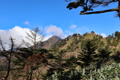 石鎚山 山頂へのアタック3