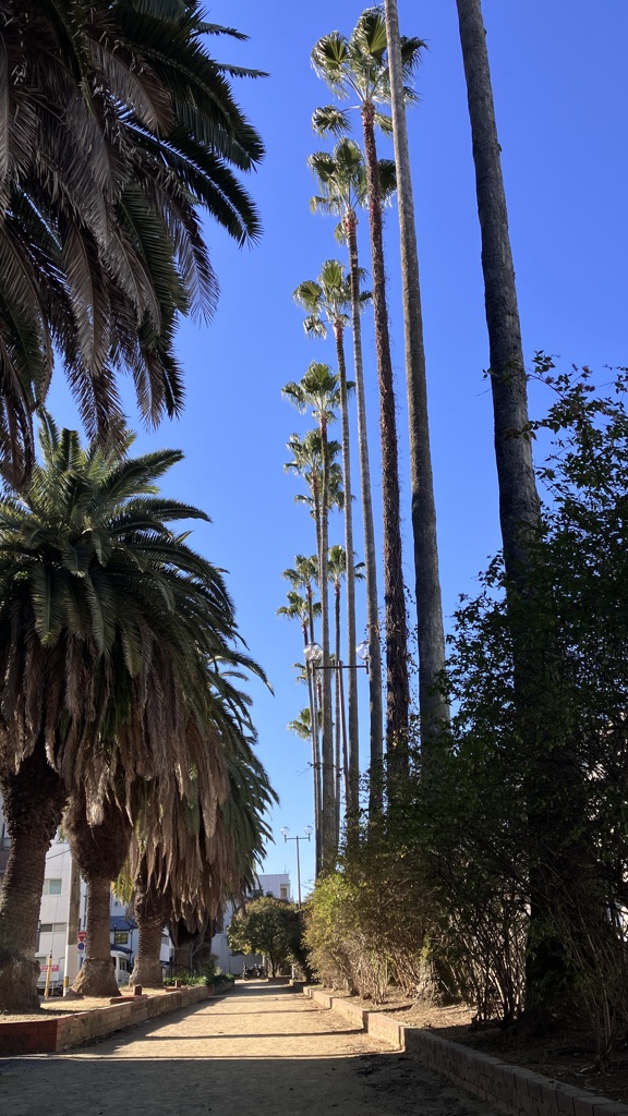 雲ひとつない、快晴です。
