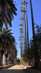 雲ひとつない、快晴です。