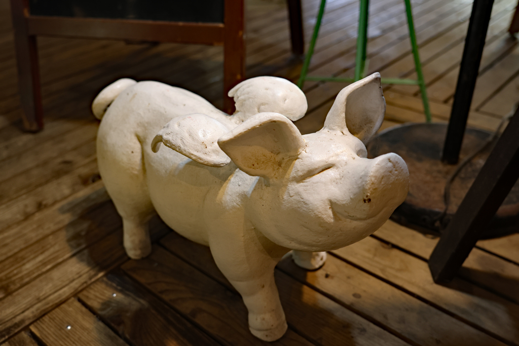 お友達になりたい