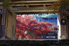 酒蔵の町 佐川 青源寺