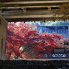 酒蔵の町 佐川 青源寺