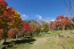 青空と紅葉