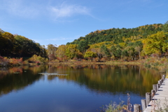 志賀高原・一沼紅葉