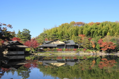 紅葉二重奏