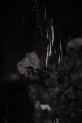 雫