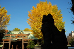紅葉03