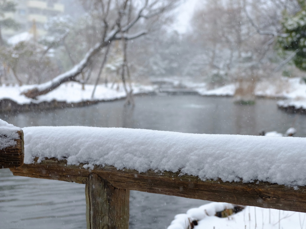 雪の百花園