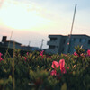 夕暮れ