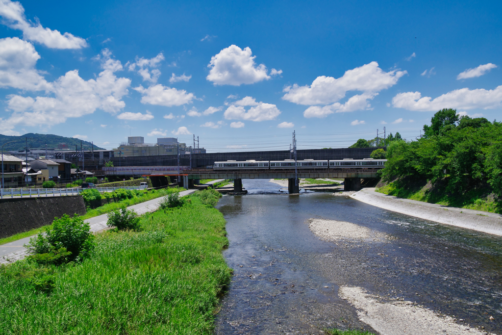 盛夏鴨川