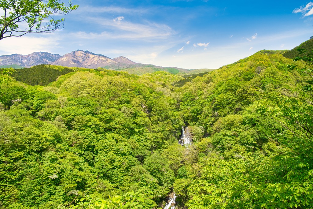 深緑・霧降大滝