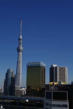 TOKYO一景