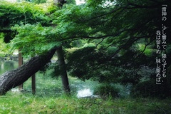 「言の葉の庭」