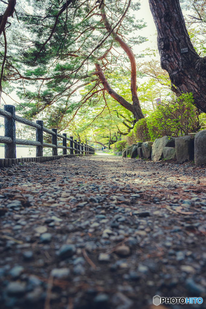 お写んぽ風景