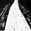 湿原地帯
