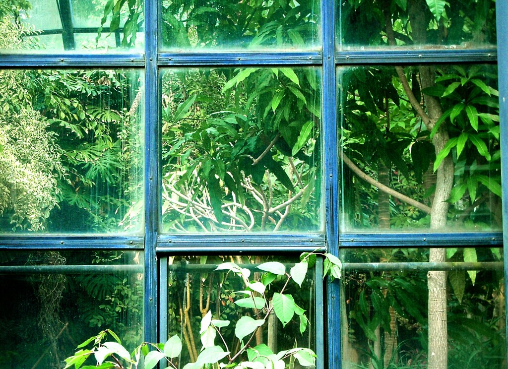 植物園へ