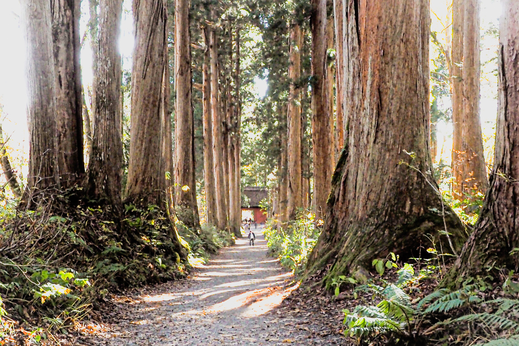 戸隠神社へ