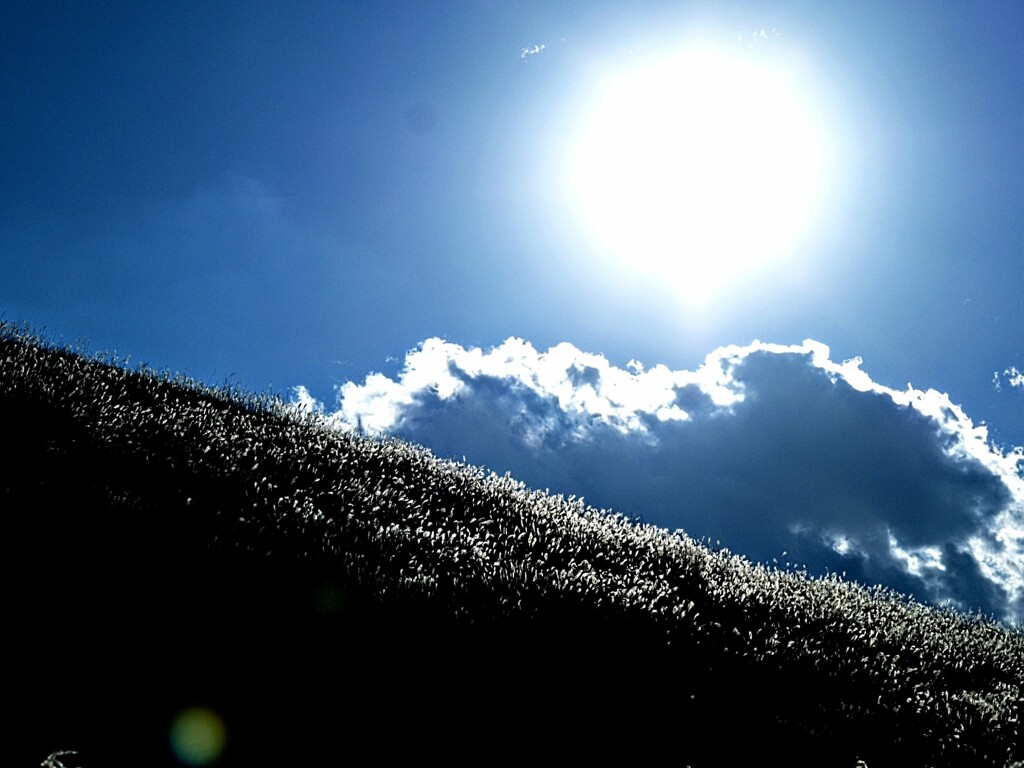 広角モード　仙石原高原