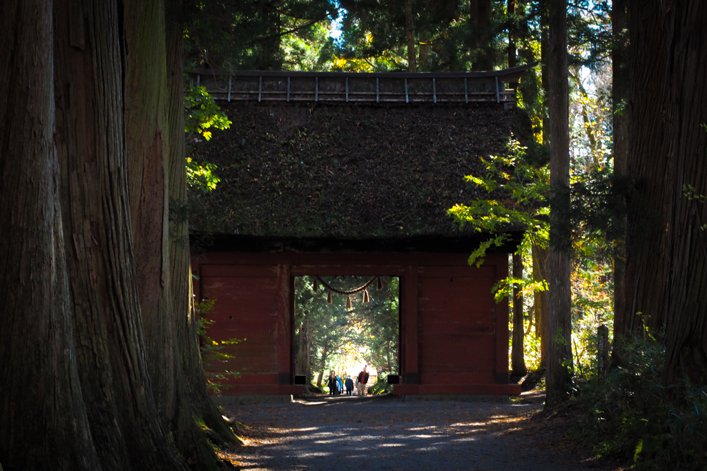 戸隠神社へ