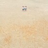 広角モード　仲良し