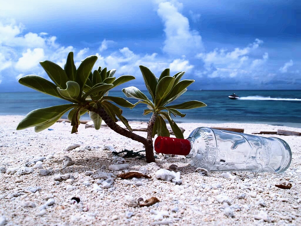 無人島モード　漂着物