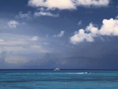 無人島散策