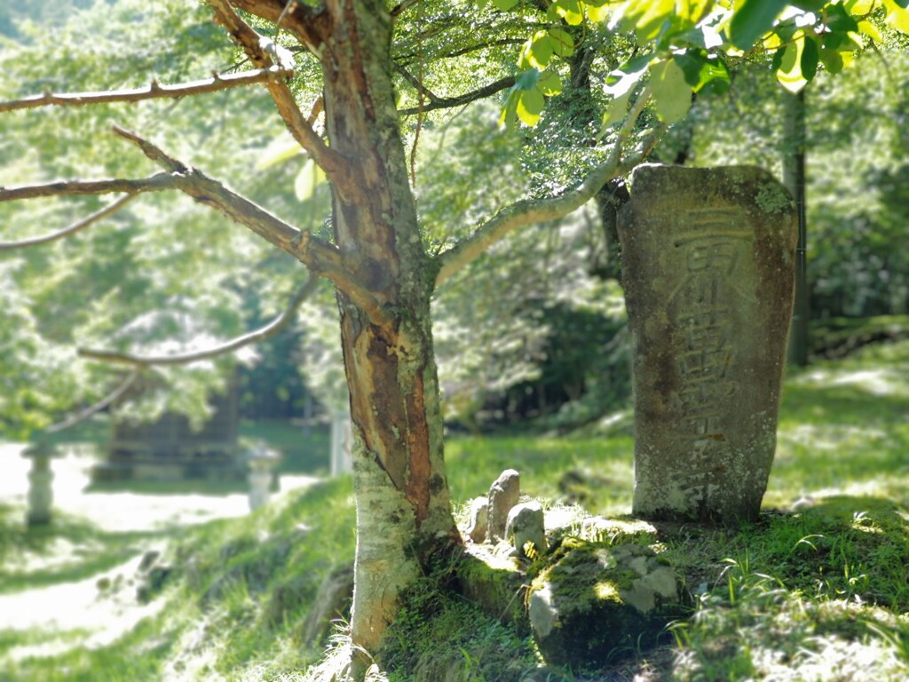 碑に降る光