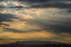 東京湾　光採集