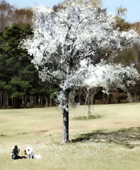 みんなの公園