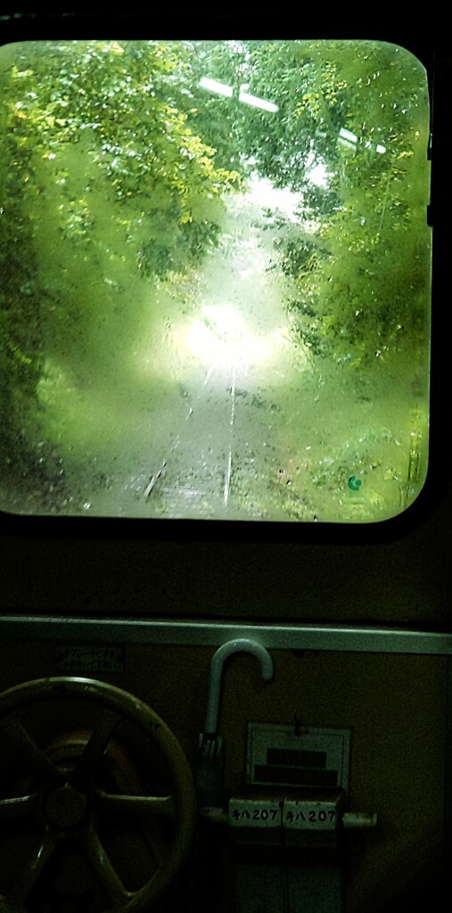 小湊鉄道　雨天走行　緑のトンネル
